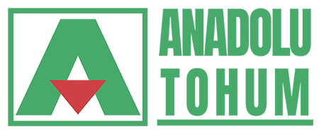Anadolu Tohum Kurumsal Web Sayfası