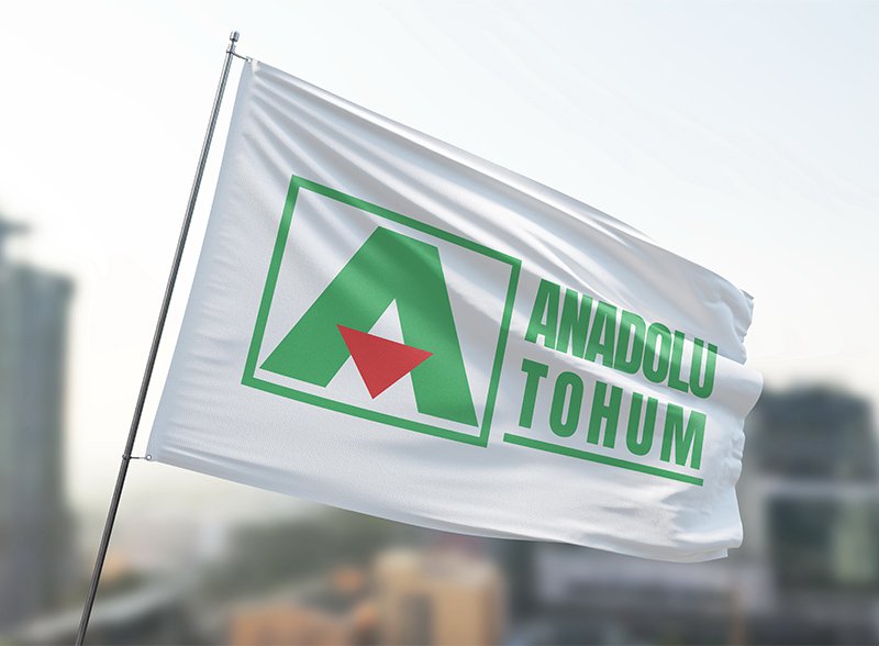 Hakkımızda
